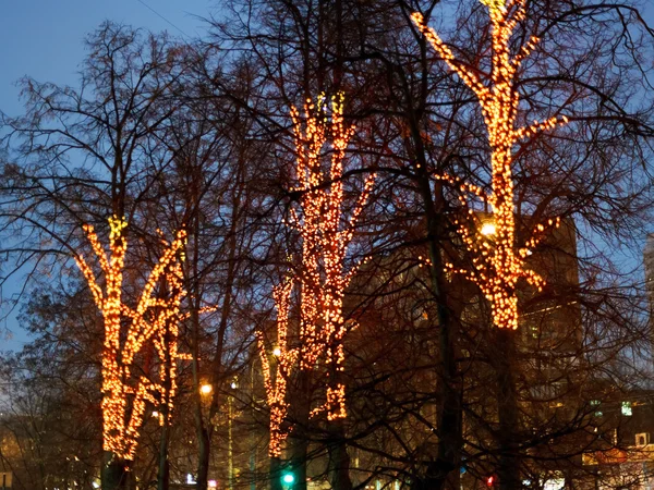 Weihnachtsbeleuchtung an Bäumen im Winter — Stockfoto