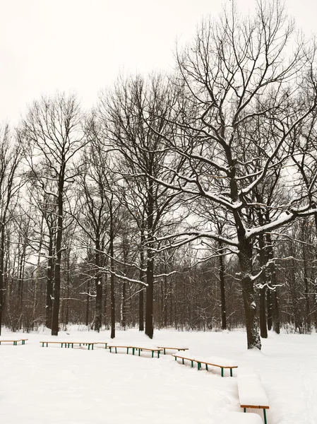 Bancos cubiertos de nieve en el claro del parque urbano —  Fotos de Stock