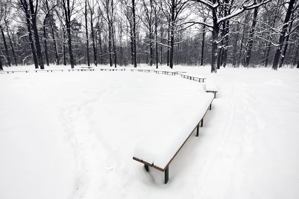 Zona pública nevada con bancos en el parque de la ciudad —  Fotos de Stock