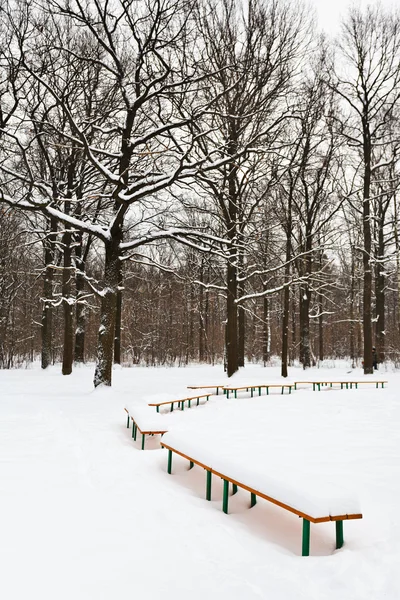 Bancos cubiertos de nieve en el claro del parque de la ciudad —  Fotos de Stock