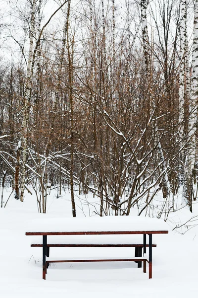 Mesa cubierta de nieve en el terreno de recreación —  Fotos de Stock