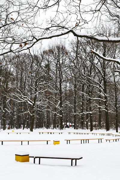 Sneeuw bedekt recreatie grond in stadspark — Stockfoto
