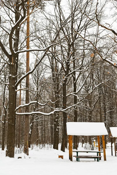 Pabellón de madera cubierto de nieve en el parque de la ciudad —  Fotos de Stock