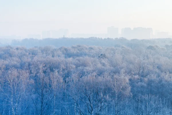 Vroeg in de ochtend op bevroren bos en de stad — Stockfoto