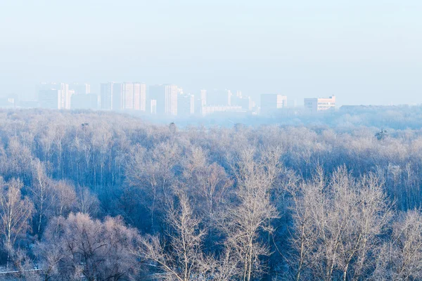 Madrugada sobre el bosque y la ciudad en invierno —  Fotos de Stock