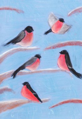 Bullfinches kış ağaç dalları üzerinde