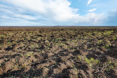 erken baharda sürülmüş tarım fileld