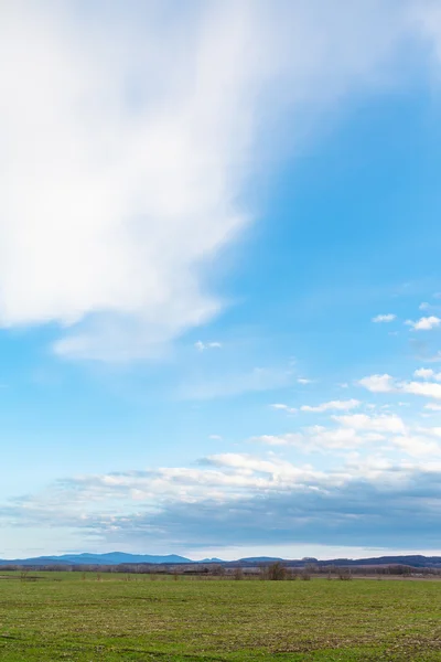 Cielo azul sobre campos agrarios de invierno en primavera —  Fotos de Stock