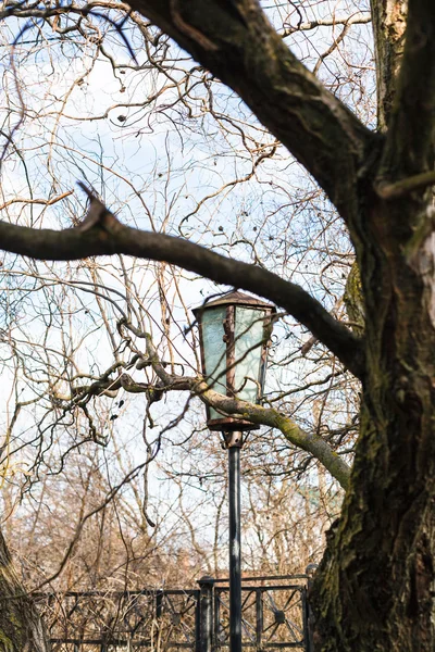 Ramos de árvores nuas e lanterna no dia ensolarado da primavera — Fotografia de Stock