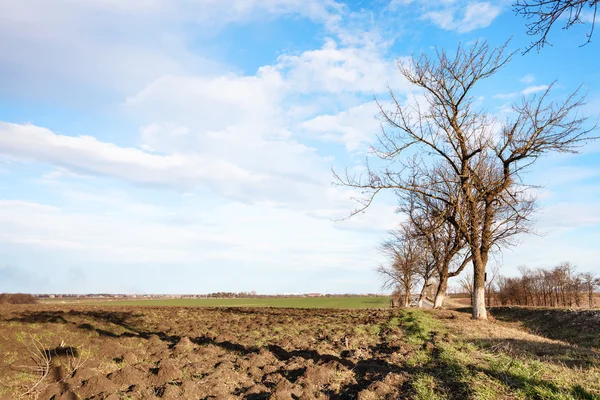 Land landschap in vroeg lente — Stockfoto