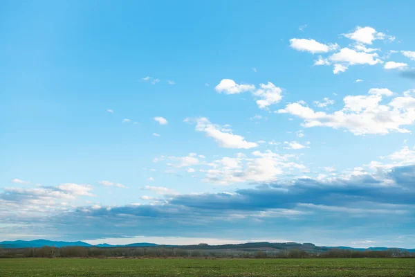 Cielo azul de la tarde sobre campos de cultivo de invierno en primavera —  Fotos de Stock