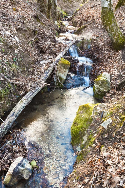 Sungai di hutan pegunungan pada musim semi — Stok Foto