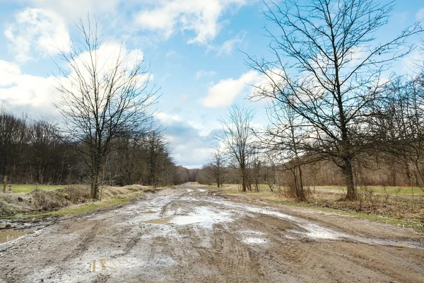 Route de campagne infranchissable au début du printemps — Photo