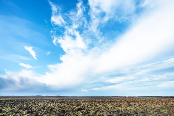 Ciel bleu au-dessus des champs cultivés au printemps — Photo