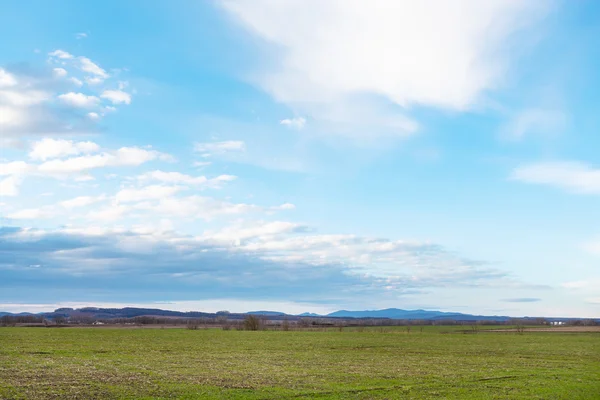 Ciel bleu sur les champs agricoles d'hiver au printemps — Photo