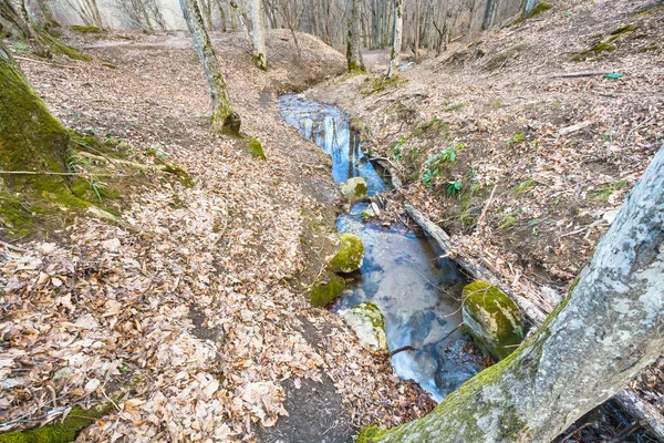 Paysage de montagne avec ruisseau en forêt au printemps — Photo