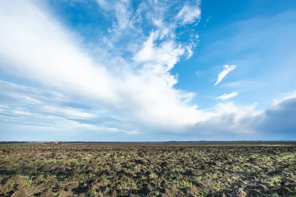 Modrá obloha nad zoraná fileld na jaře — Stock fotografie