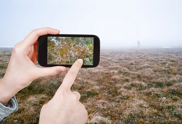 Turista tirar fotos de tundra do Ártico na primavera — Fotografia de Stock