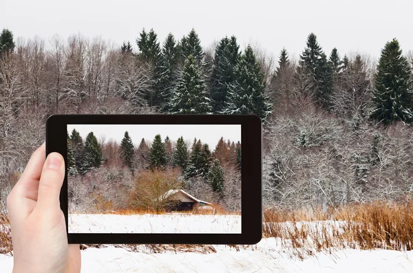 Turist fotograferar trähus i julfest skog — Stockfoto