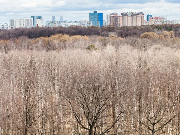 Vue au-dessus des arbres nus dans la forêt printanière et la ville — Photo