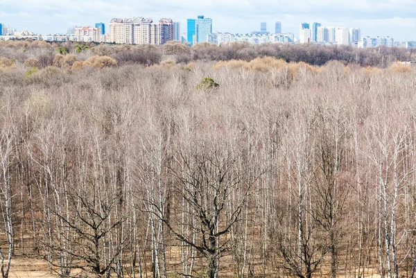 Oben Blick auf kahle Bäume und Stadt in sping Tag — Stockfoto