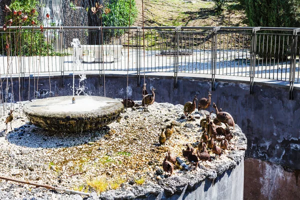 Fontein in Bellini tuin in Catania, Sicilië — Stockfoto