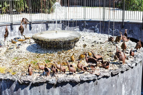 Fountain in Bellini Garden in Catania in spring — Stock Photo, Image