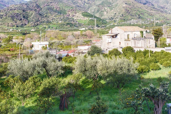 Εσπεριδοειδή orcahard στο κατώφλι του αστικού σπιτιού, Σικελία — Φωτογραφία Αρχείου