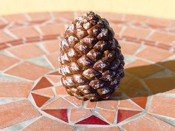Pine cone on mosaic stone table — Stock Photo, Image
