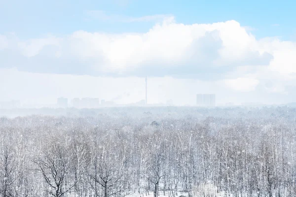 Snow storm over city and forest in spring — Stock Photo, Image