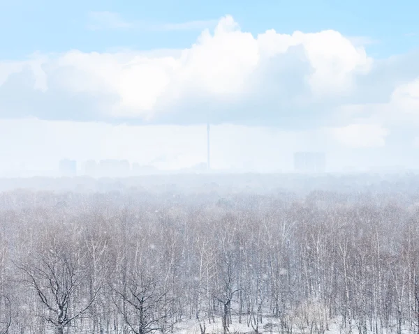 Snow blizzard over city and woods in spring — Stock Photo, Image