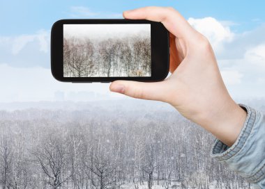 kar blizzard meşe ve huş ağaçlarının fotoğraf
