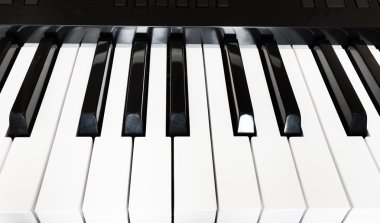 synthesizer Önden Görünüm anahtarları