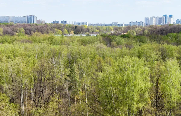 Bosco verde con lago e città in primavera — Foto Stock