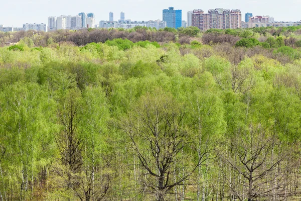 Maisons urbaines modernes et forêt verte au printemps — Photo