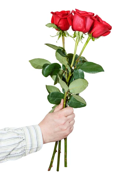 分離された 3 つの赤いバラの花束を与える手 — ストック写真