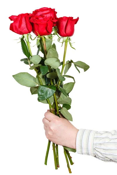 Hand giving bouquet of five red roses isolated — Stock Photo, Image