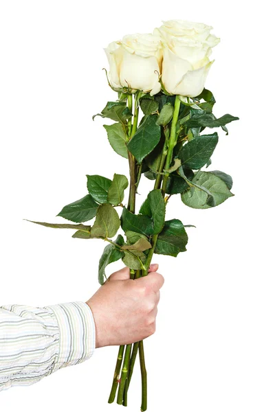 Hand gibt Strauß von fünf weißen Rosen isoliert — Stockfoto