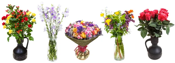 Conjunto de racimos de flores en jarrones aislados — Foto de Stock