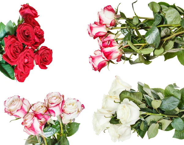 Set of various rose bunches of flowers isolated — Stock Photo, Image