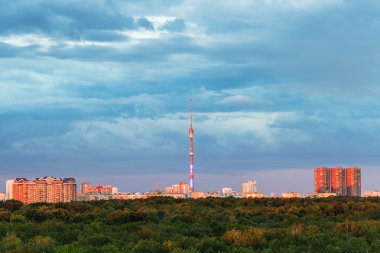 ormanlar ve ışıklı pembe günbatımı ışık şehir
