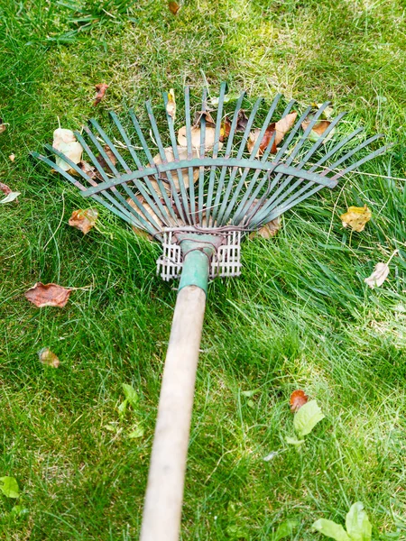 Lawn care med rake — Stockfoto