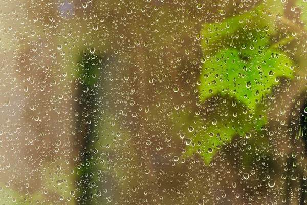 Raindrops on window pane during night rain — Stock Photo, Image