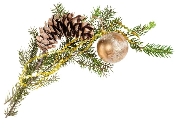 Branch of spruce tree with cone and gold ball — Stock Photo, Image