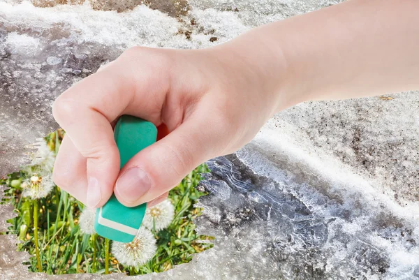 Green grass and blowball dandelions — ストック写真