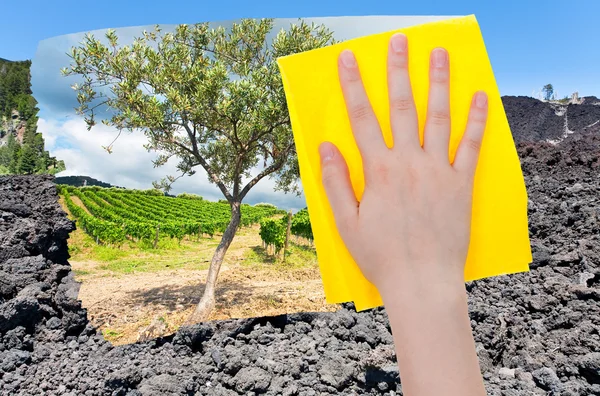 Hand deletes lava on Etna volcano by yellow cloth — 图库照片