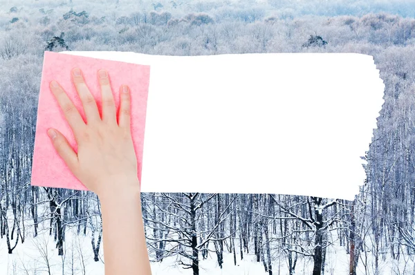 Hand deletes winter woods by pink rag — Stock Photo, Image