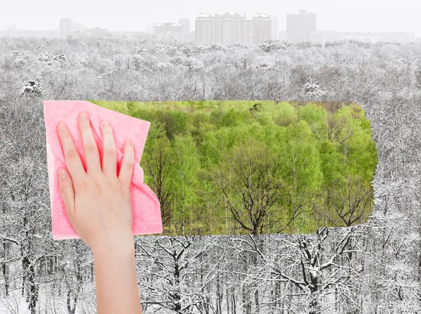 Hand tar bort vintern skog av rosa tyg — Stockfoto