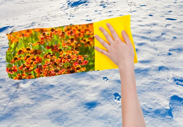 Animal footprints on snow — Stock Photo, Image