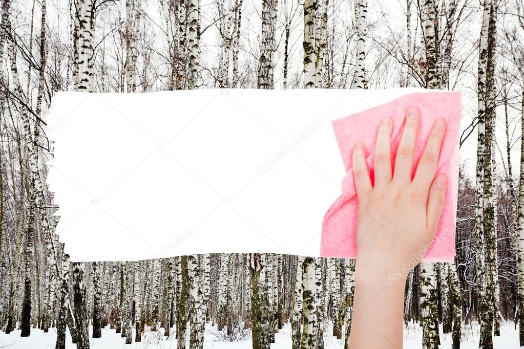 hand deletes bare trees in winter forest by rag